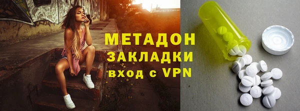 шишки Белоозёрский