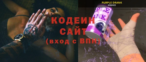 шишки Белоозёрский