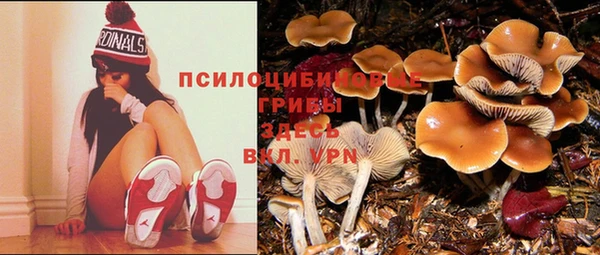 герыч Баксан