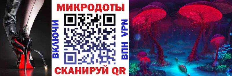 Купить  Себеж  Псилоцибиновые грибы ЛСД 